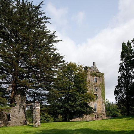 Willa Dripsey Castle Estate Cork Zewnętrze zdjęcie