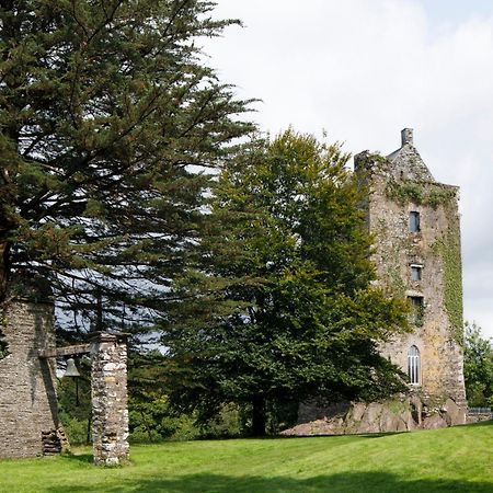 Willa Dripsey Castle Estate Cork Zewnętrze zdjęcie