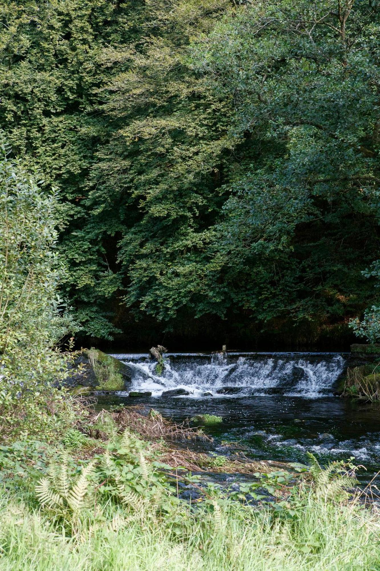 Willa Dripsey Castle Estate Cork Zewnętrze zdjęcie