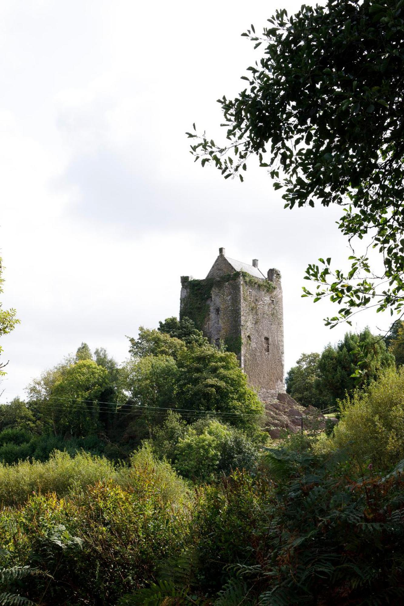 Willa Dripsey Castle Estate Cork Zewnętrze zdjęcie