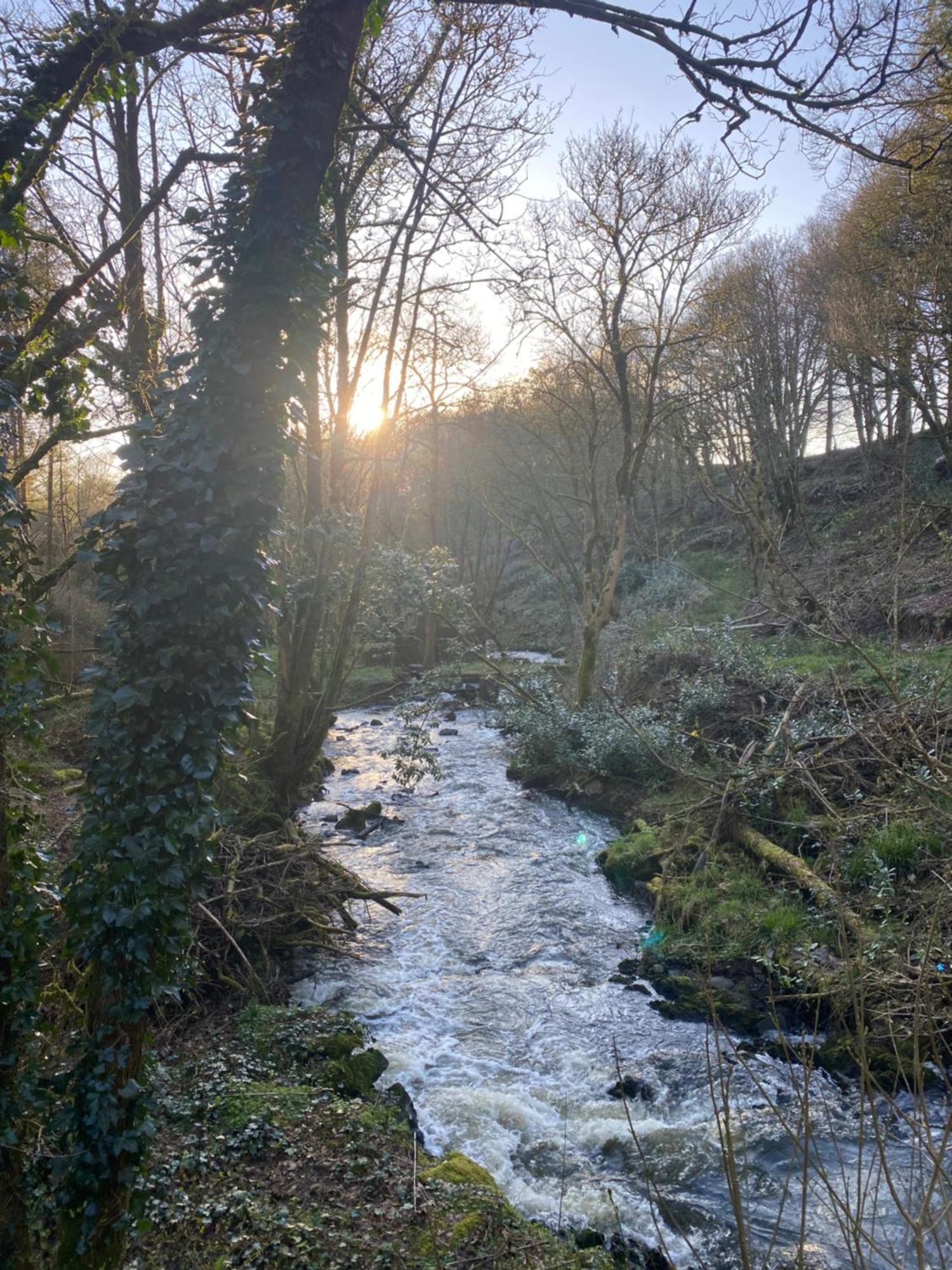 Willa Dripsey Castle Estate Cork Zewnętrze zdjęcie