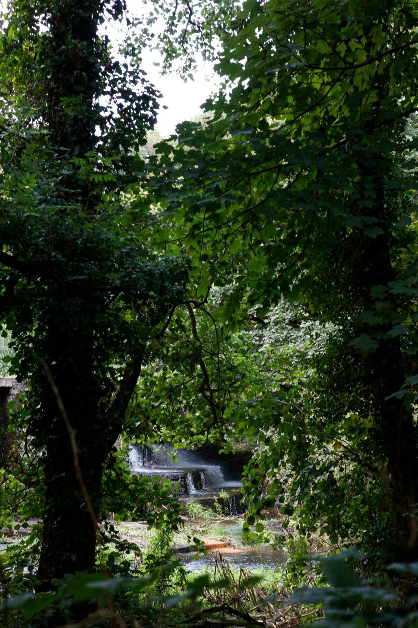 Willa Dripsey Castle Estate Cork Zewnętrze zdjęcie