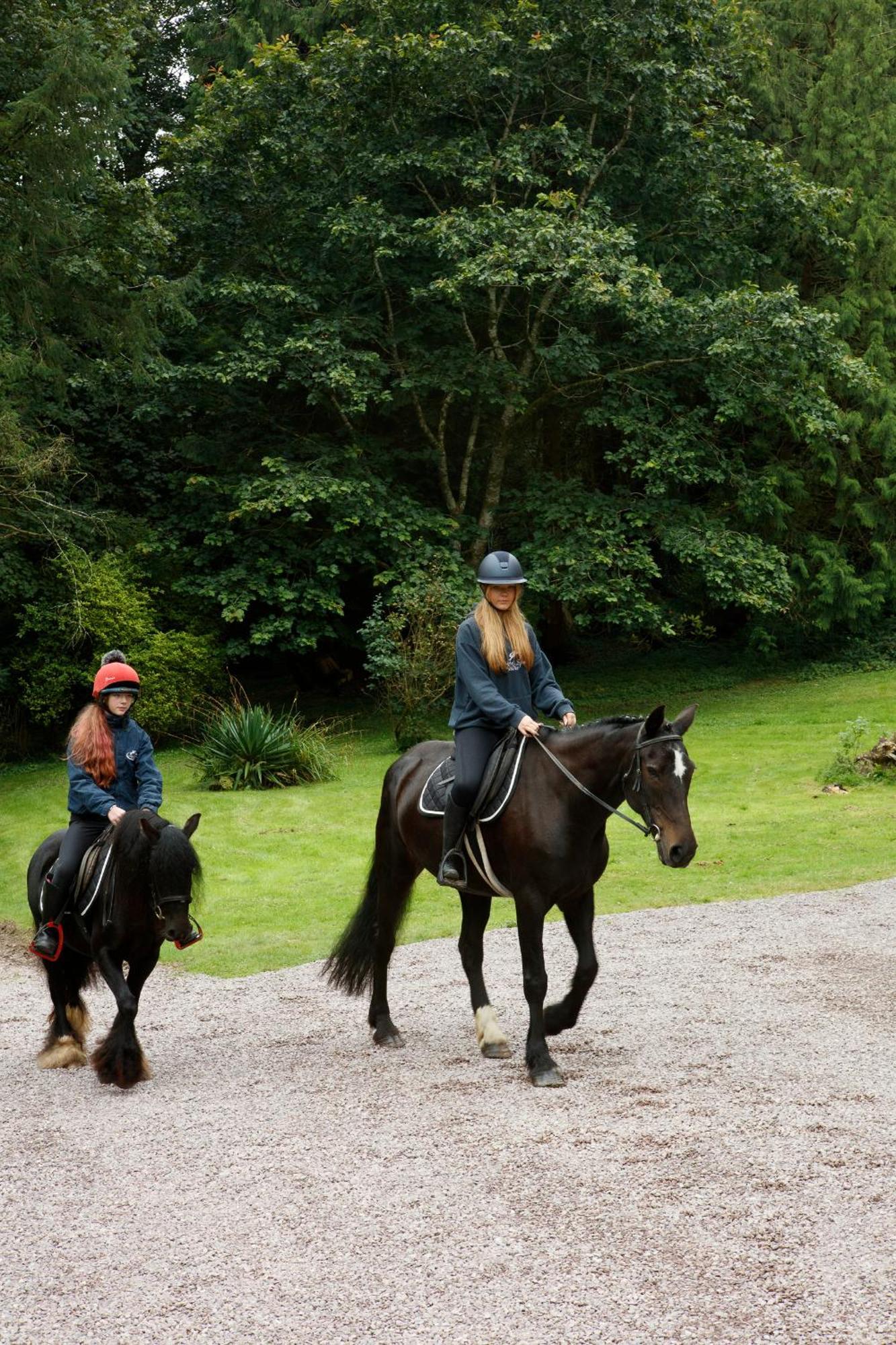 Willa Dripsey Castle Estate Cork Zewnętrze zdjęcie