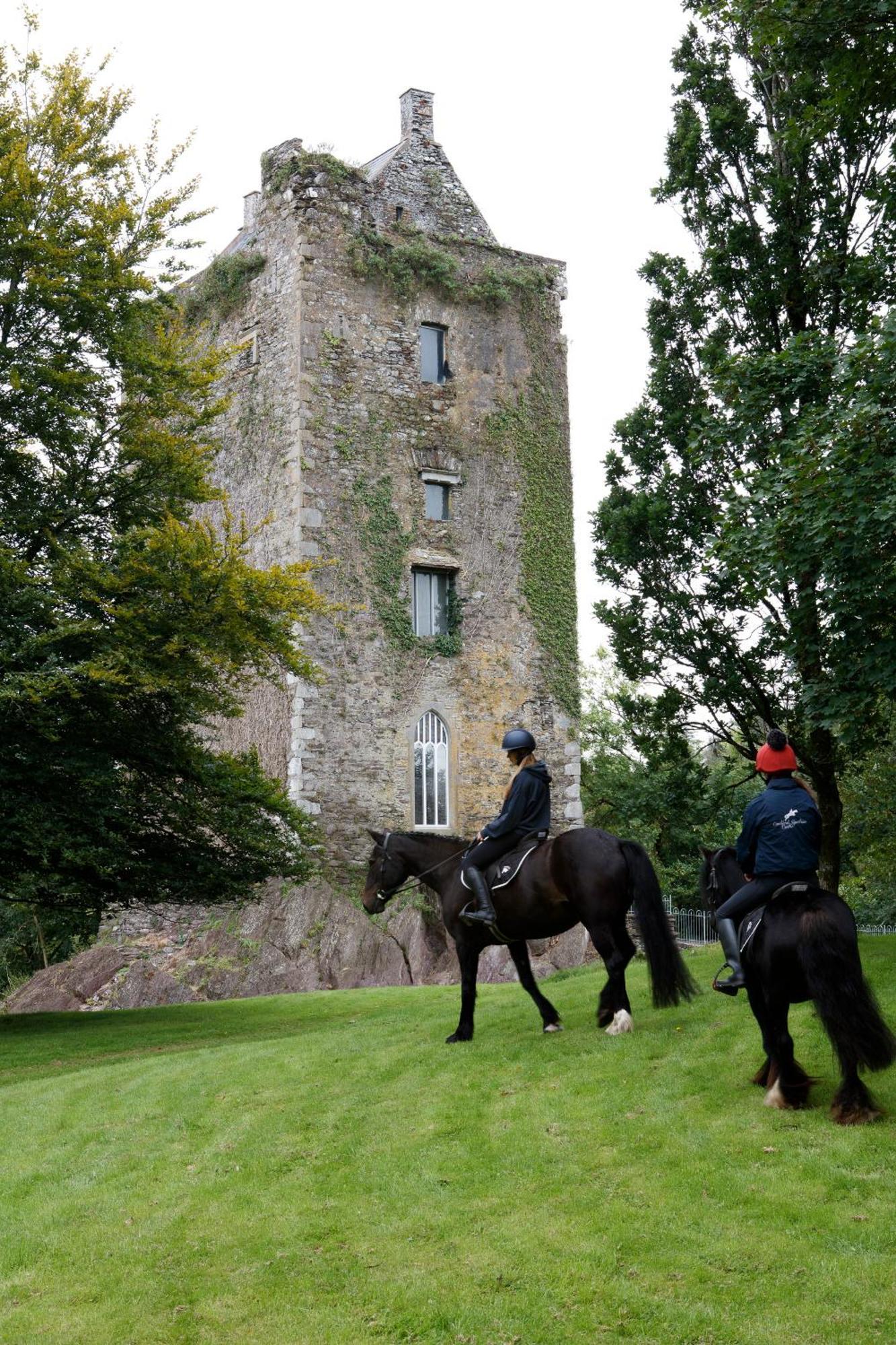 Willa Dripsey Castle Estate Cork Zewnętrze zdjęcie