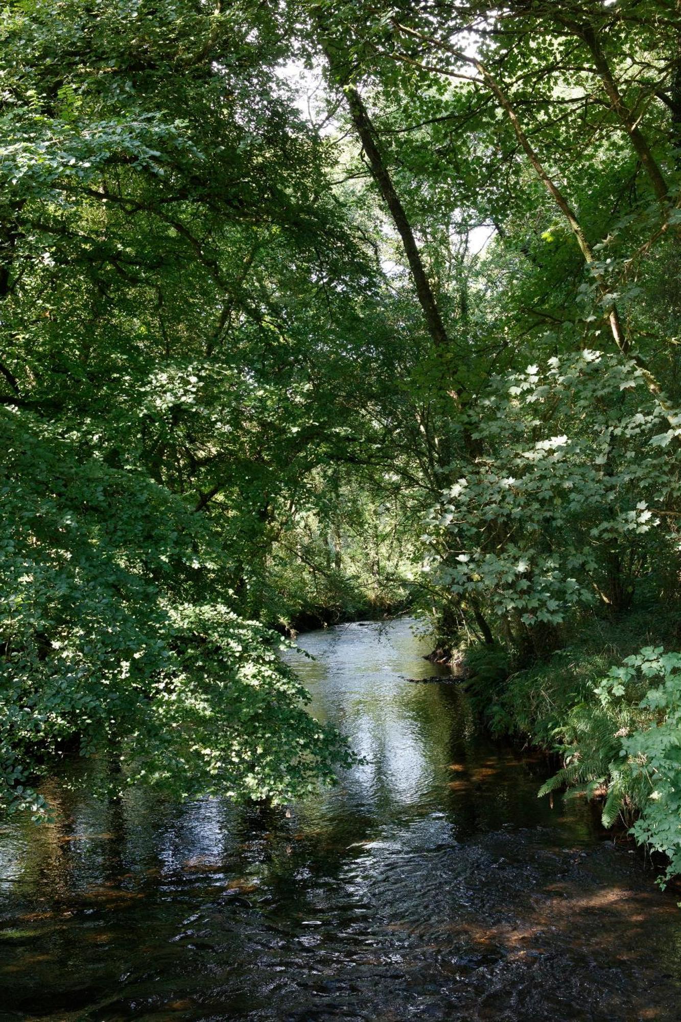 Willa Dripsey Castle Estate Cork Zewnętrze zdjęcie