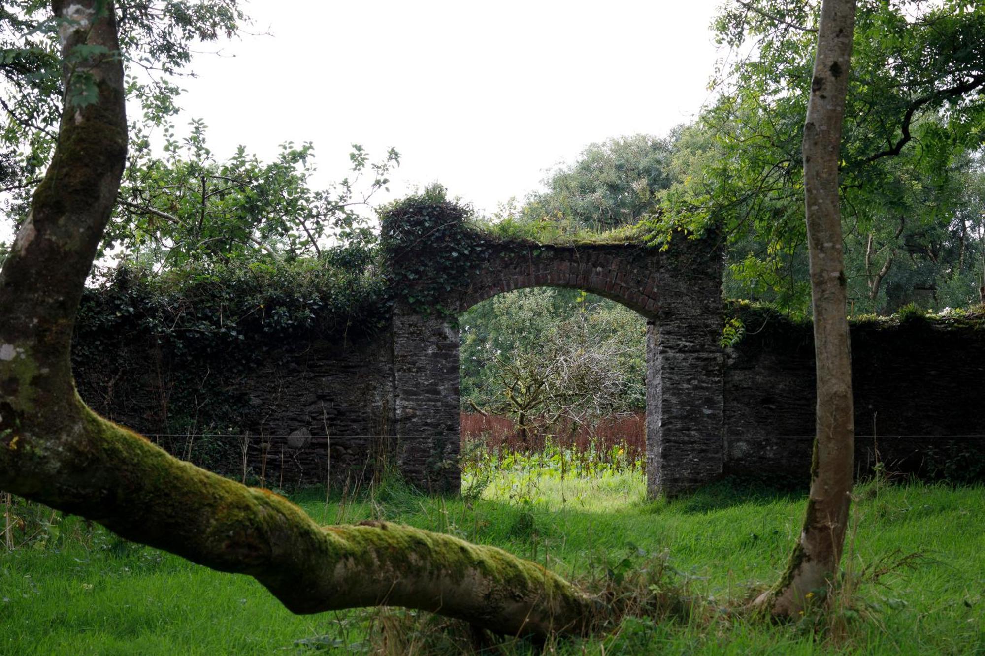 Willa Dripsey Castle Estate Cork Zewnętrze zdjęcie