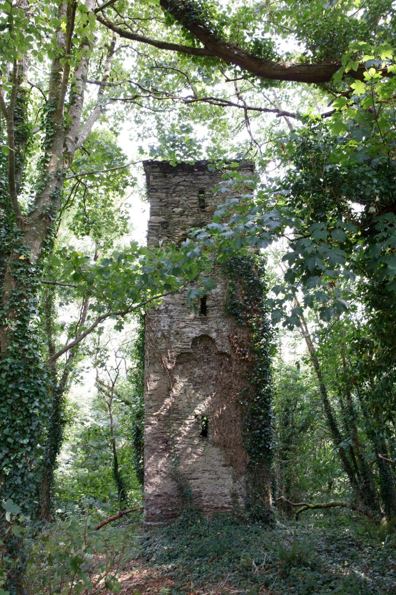 Willa Dripsey Castle Estate Cork Zewnętrze zdjęcie