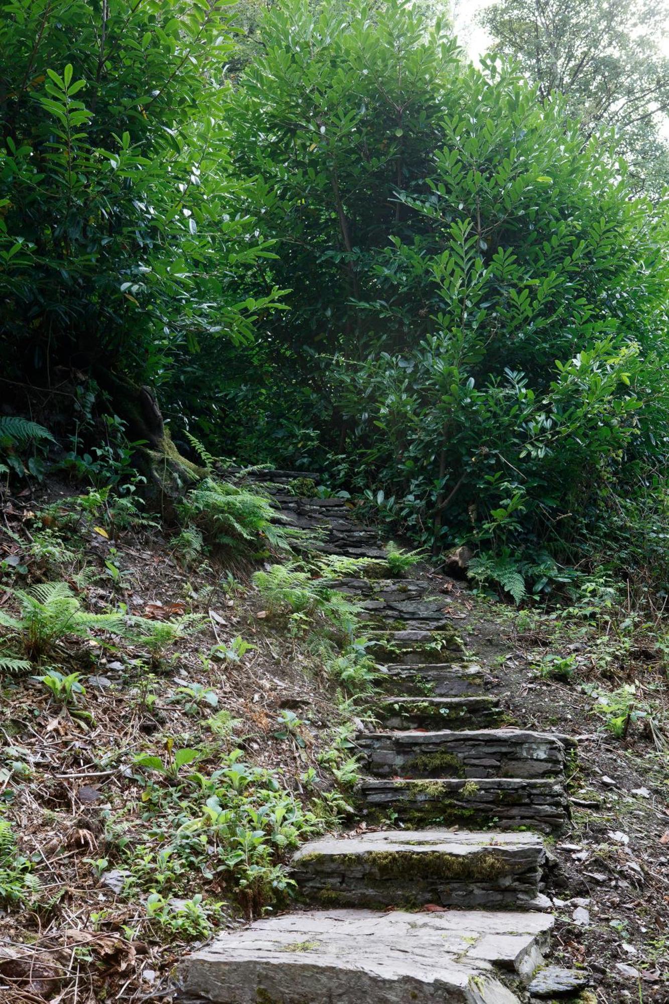 Willa Dripsey Castle Estate Cork Zewnętrze zdjęcie